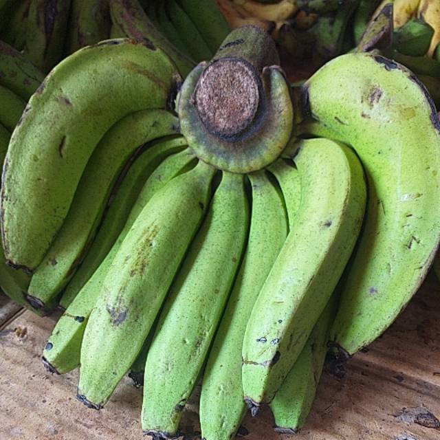 

Buah Pisang Ambon Hijau 1 sisir