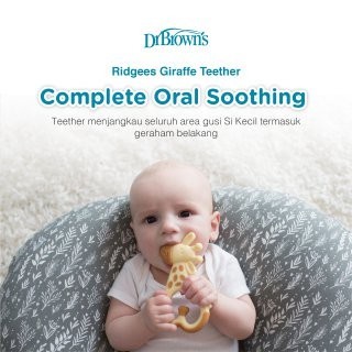 Dr. Brown's Massaging Teether &quot;Ridgees&quot; / Gigitan Bayi