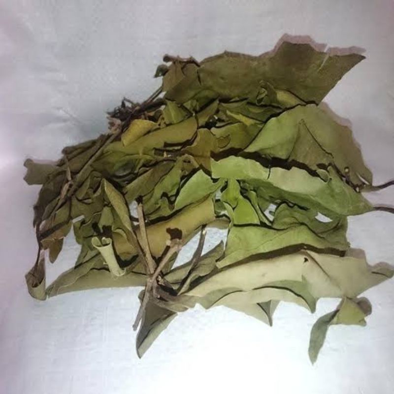 

Benalu Alpukat Kering Tinggal Seduh 250Gram