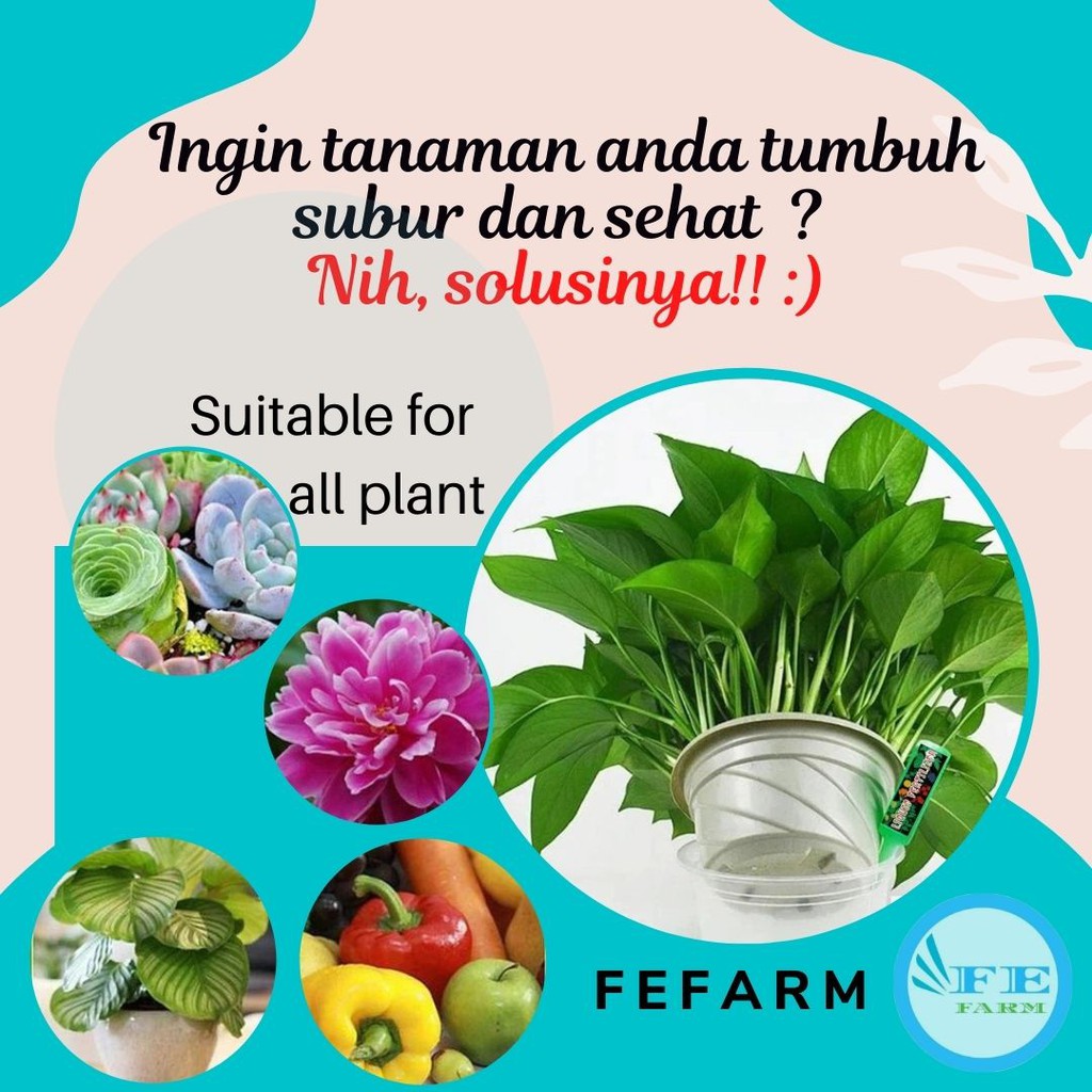 Pupuk Bunga Hias Aglonema Mawar Anggrek  Dan Daun LIQUID FERTILIZER FEFARM