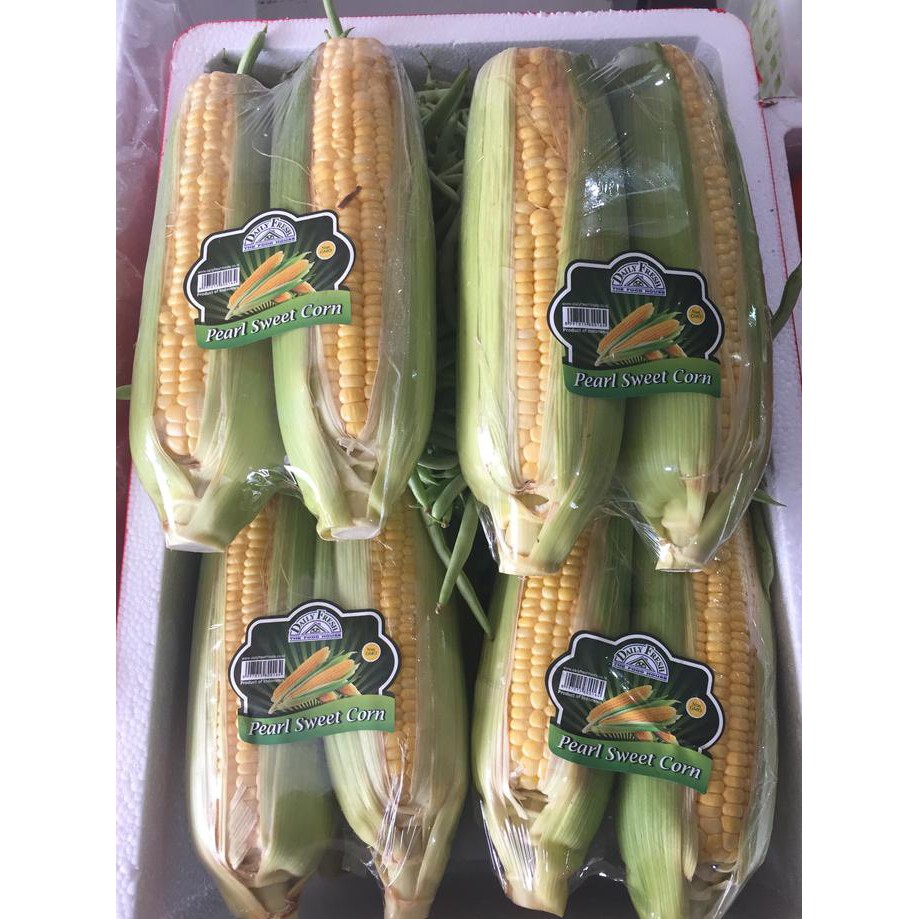 

Diskon! Jagung Manis