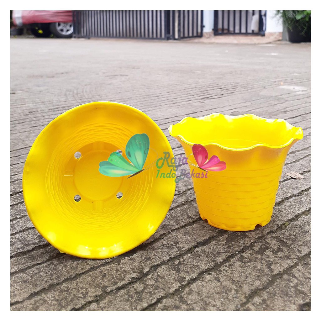 Pot Sun Flower Mdn 10 Cm Motif Bata Pot Bunga Sunflower Warna Warni - Pot Kaktus cactus Mini Lucu