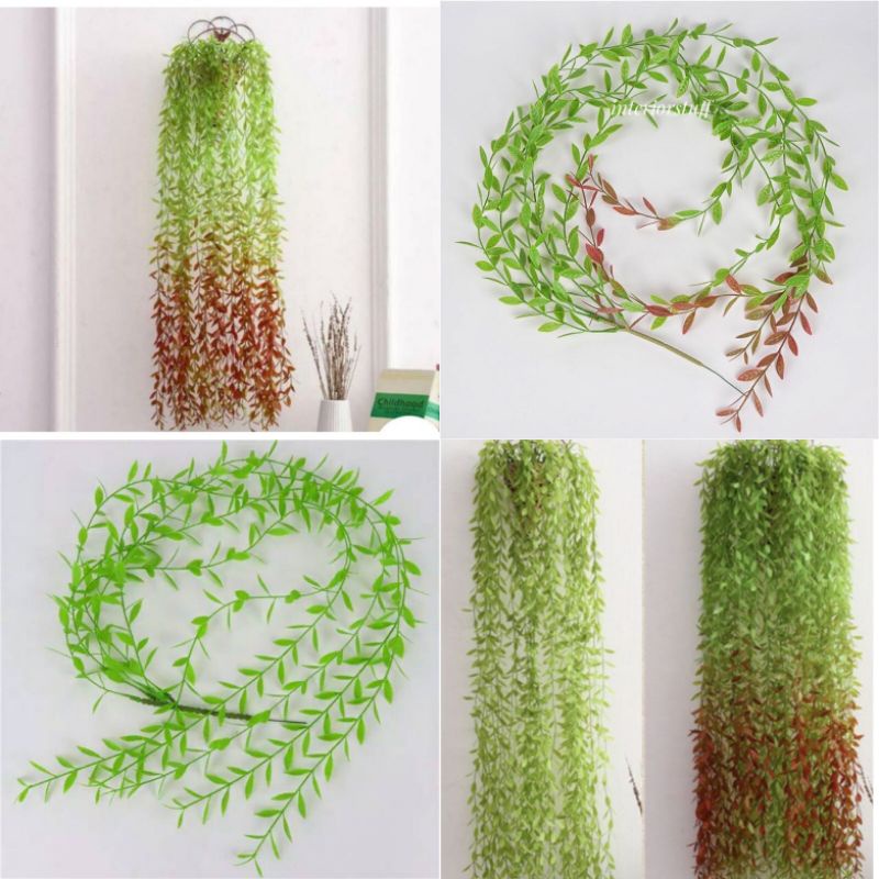 bunga juntai - bunga gantung