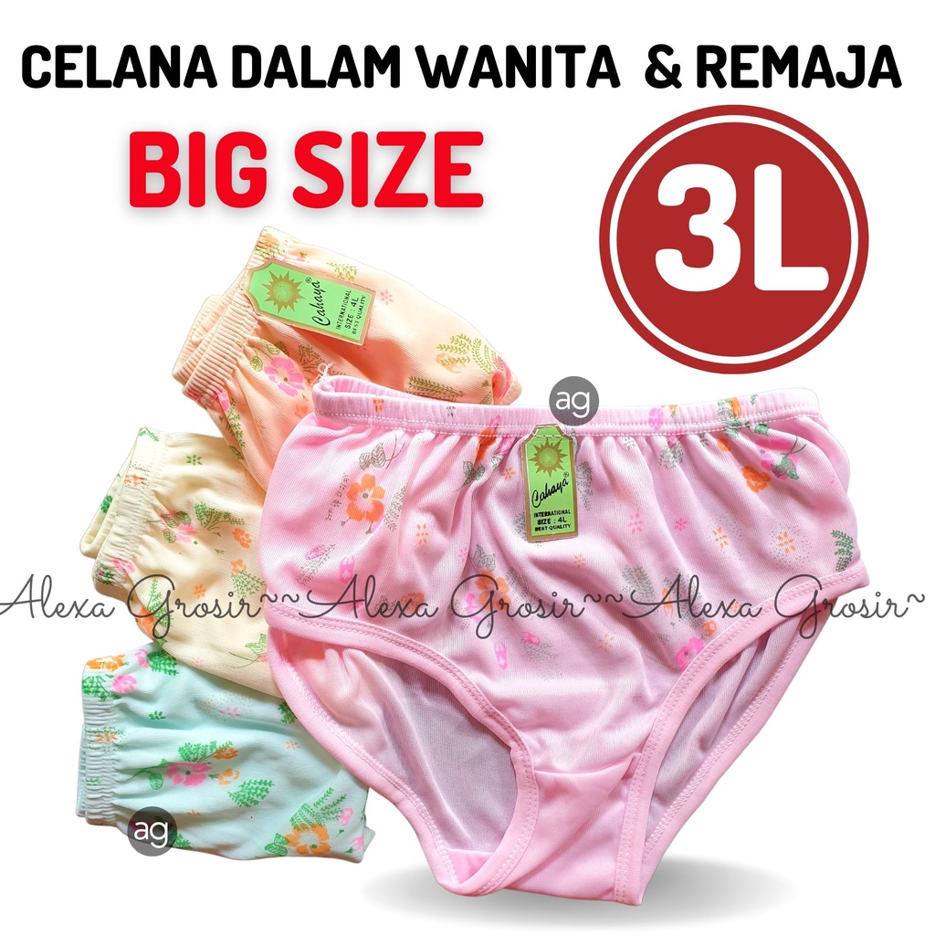 12 PCS Undies Celana Dalam Wanita Motif Hyget extra jumbo size 3L/ XXXL - ALEXA GROSIR