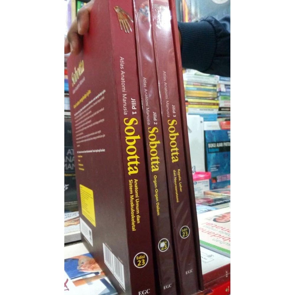 ATLAS ANATOMI MANUSIA SOBOTTA JILID 1-2 & 3 + Tabel Anatomi