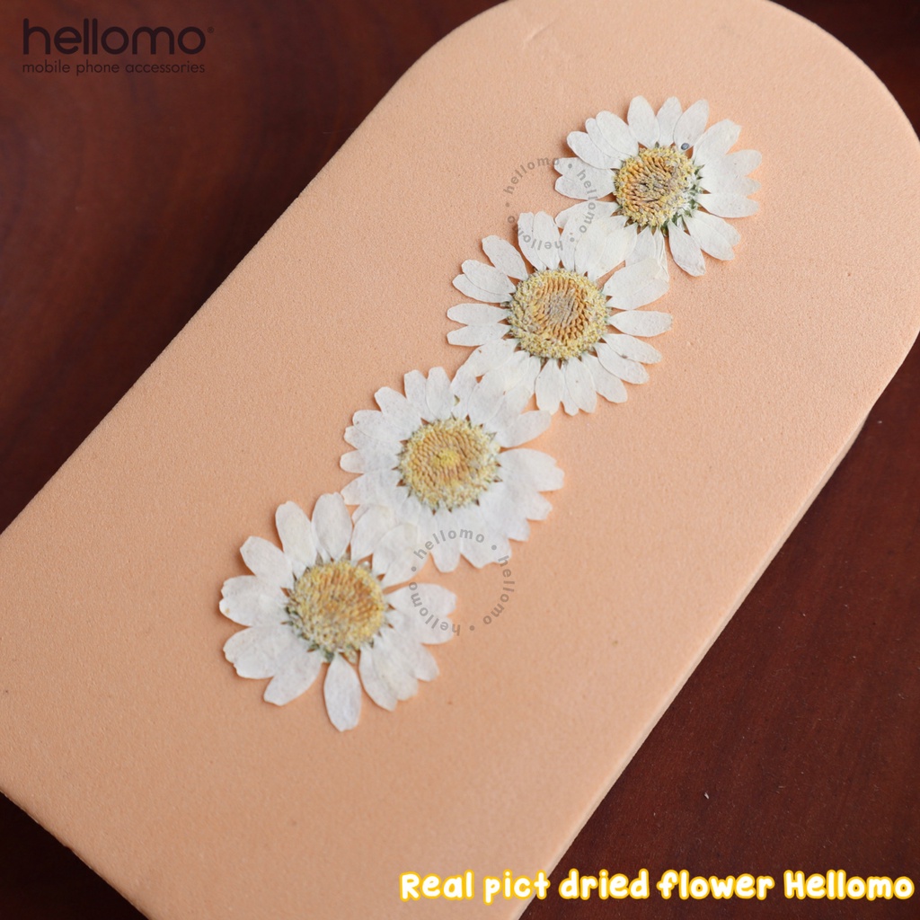 Dried Flower Resin DIY Bunga Kering Dried Flowers Satuan Bunga Kering Asli Pressed DIY Resin Epoxy Resin White Daisy Dried Flowers