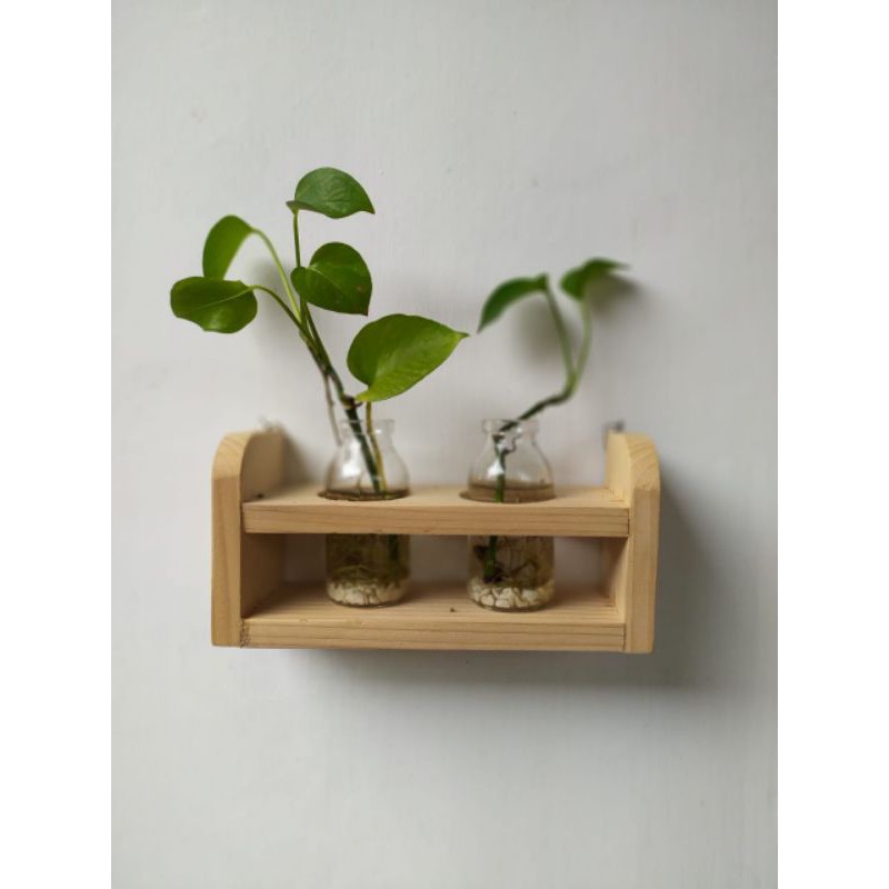 pot gantung/ pot botol/ pot unik/ vas bunga/ pot tanaman/ botol kaca/ tempat pot/ botol/ hiasan