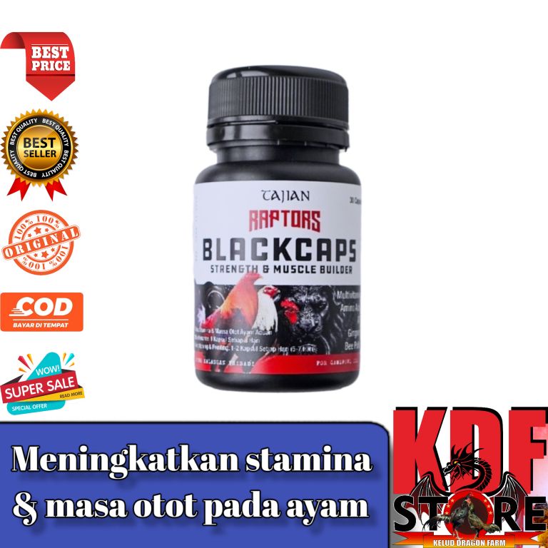 Doping Kapsul Ayam Aduan Pisau Laga - RAPTORS BLACKCAPS - Isi 30 Kapsul
