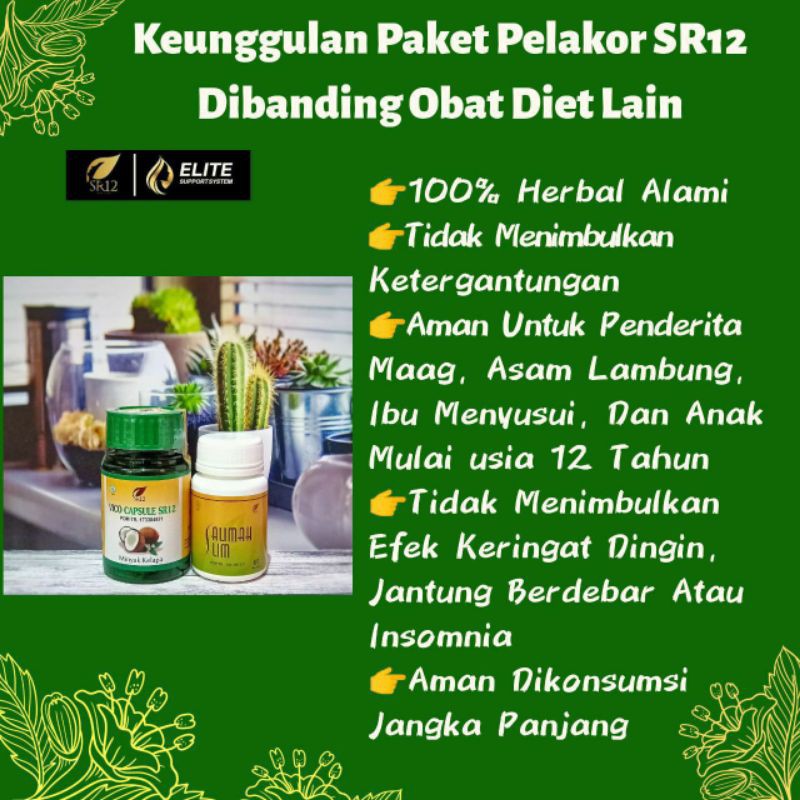 pelangsing,paket pelakor(peluruh lemak kotor) aman/BPOM