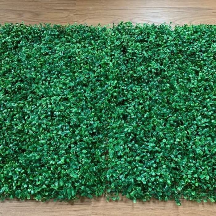 daun dollar sintetis dekorasi dinding