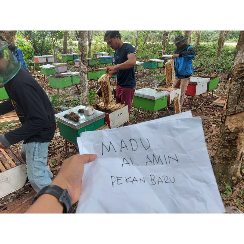

MADU ASLI AL-AMIN