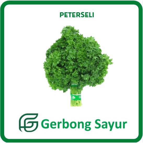 

Daun Parsley Peterseli Sayur Parseli Segar - 1 ons
