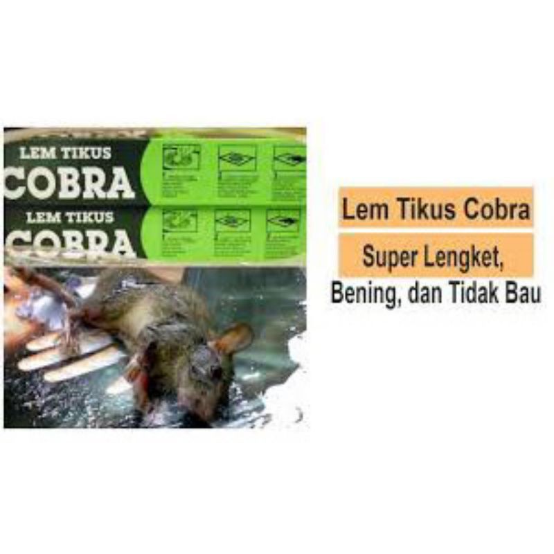 Lem Tikus Cobra Super Lengket - Jebakan Tikus Cobra