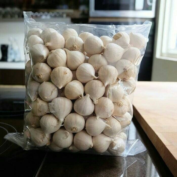 

PROMO Bawang Putih Tunggal / Bawang Lanang 1KG /Bawang Kesehatan Herbal Orginal