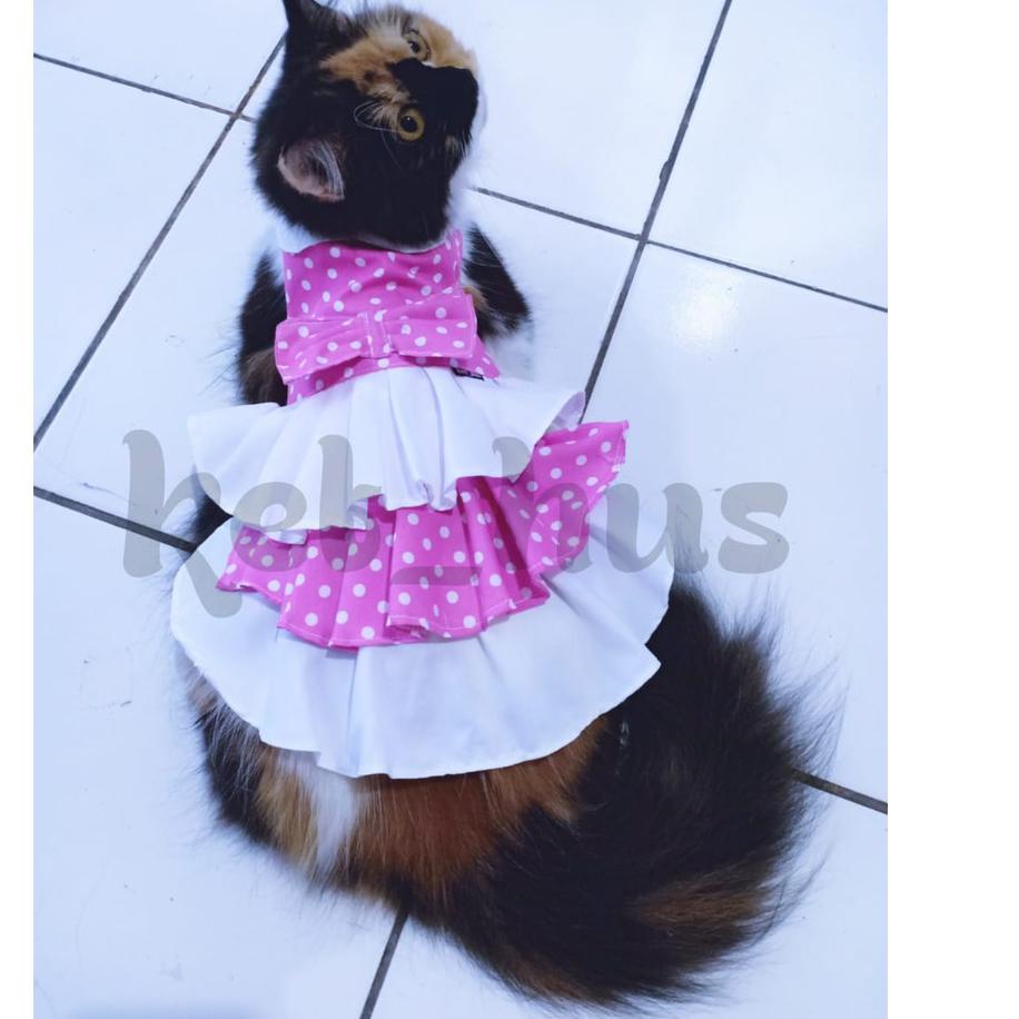 T-67 Baju Kucing Dan Anjing Betina Model Dress Gaun Kecil Mini Pom Angora Persia Polkadot Pink NFV7