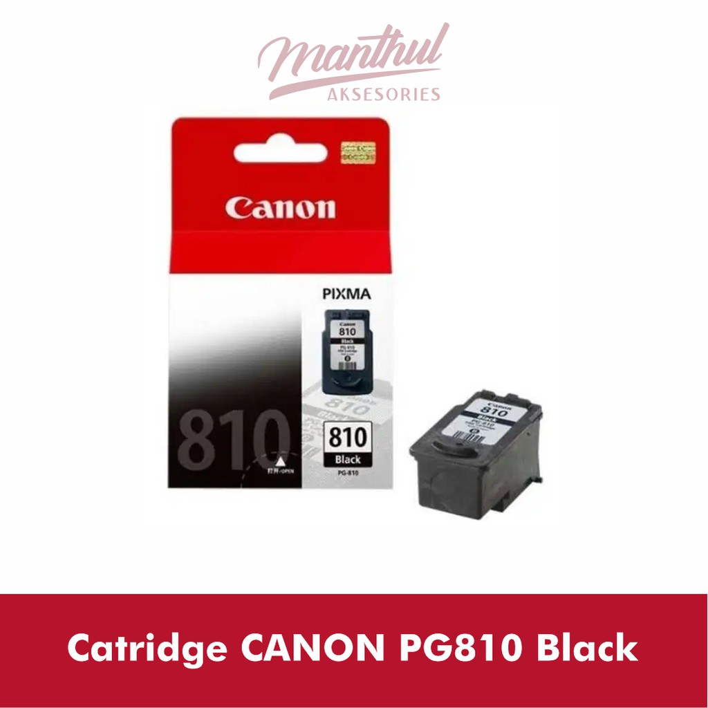 Catridge CANON PG810 Black Original