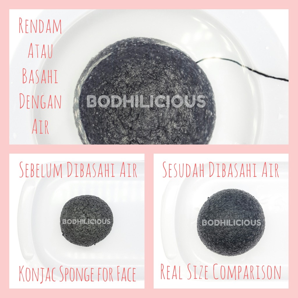 Natural Konjac Sponge [ Face / Facial Spons / Spon Wajah / Perawatan Muka / Organic / Organik ]