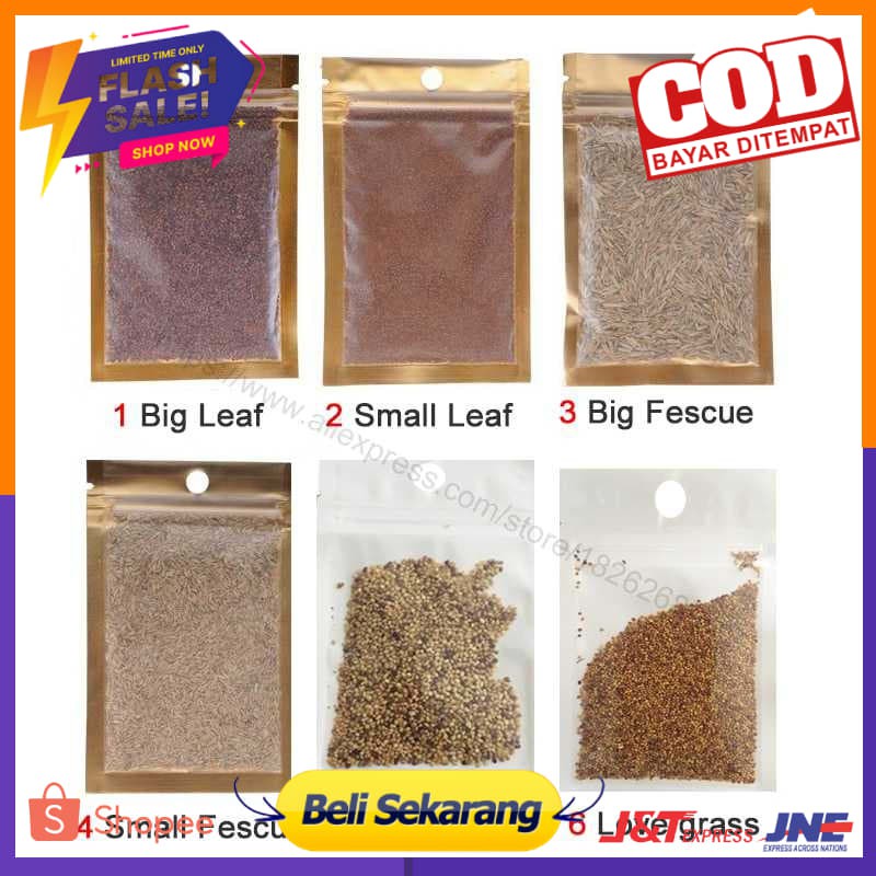 Bibit Rumput Air Dekorasi Aquarium Landscape Ornament - H0027