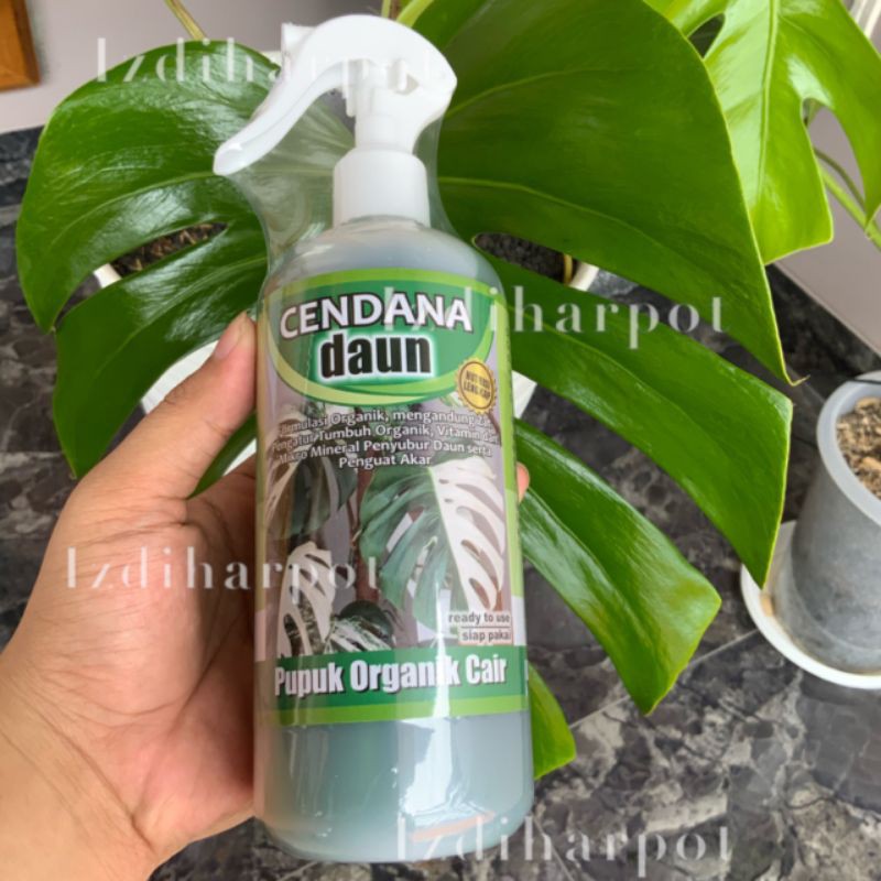 pupuk cair organik cendana daun 500ml pupuk daun spray - siap pakai