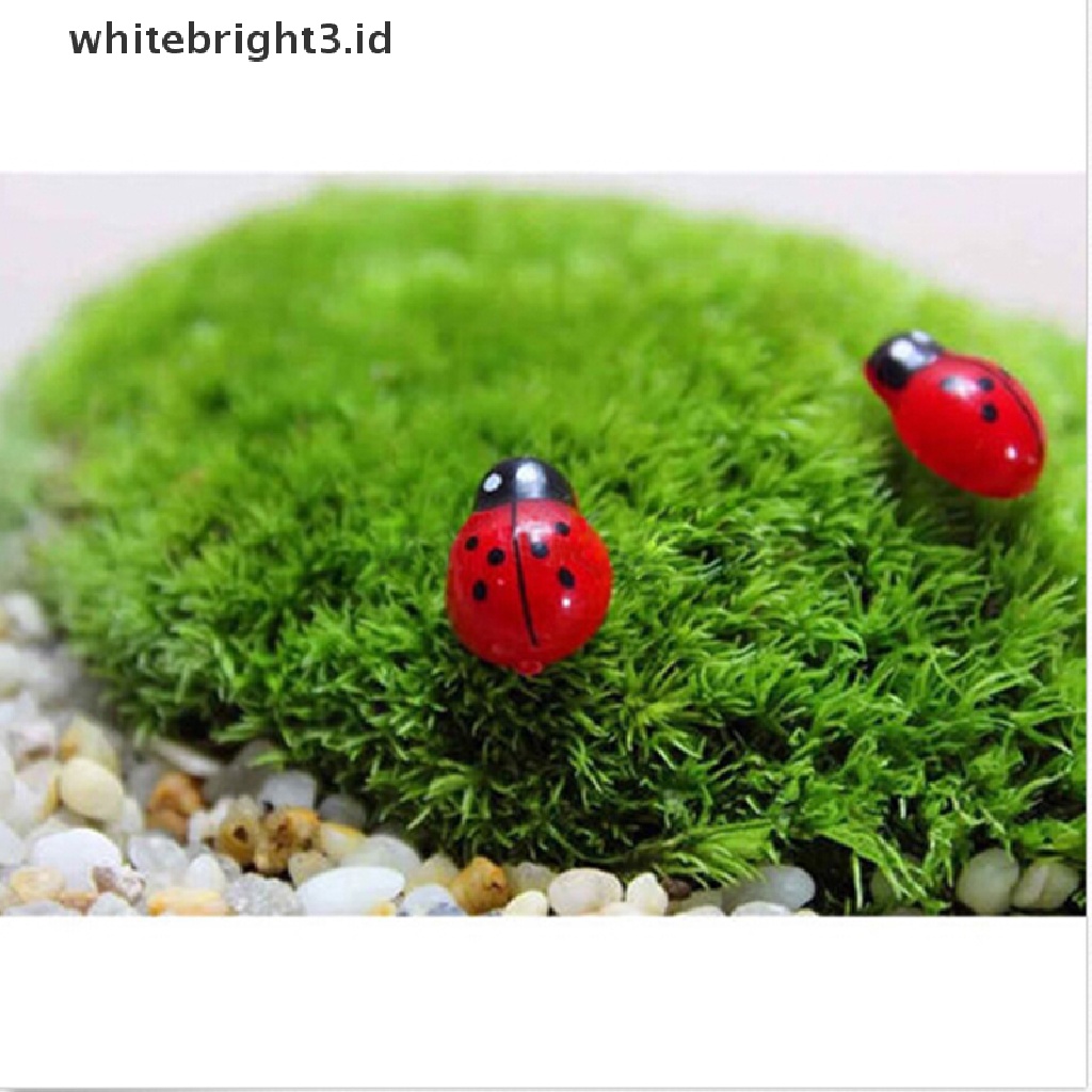 {whitebright3.id} Mini Ladybug Beatles Garden Ornaments Scenery Craft For Plant Pot Fairy Decor ,