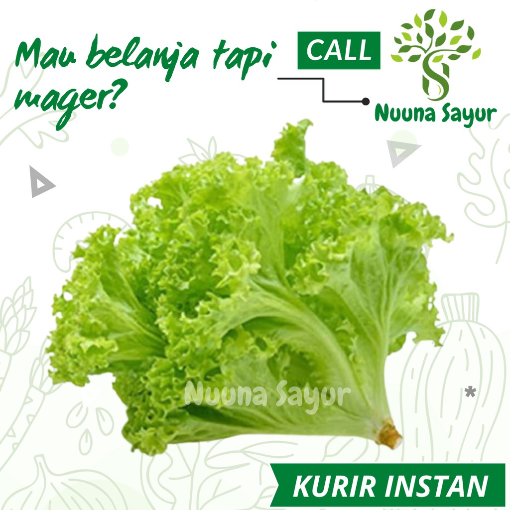 

Sayur Selada Lalap 250 Gram