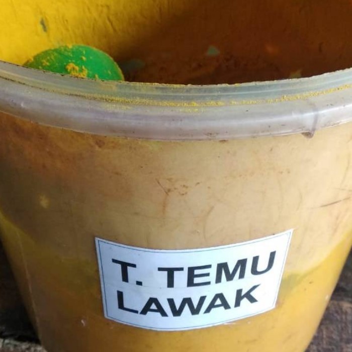 

Tepung temulawak