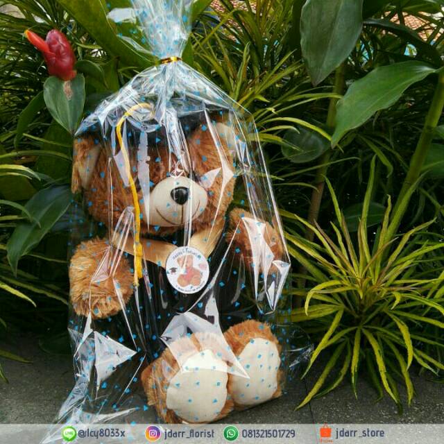 Boneka Wisuda Teddy Bear Murah