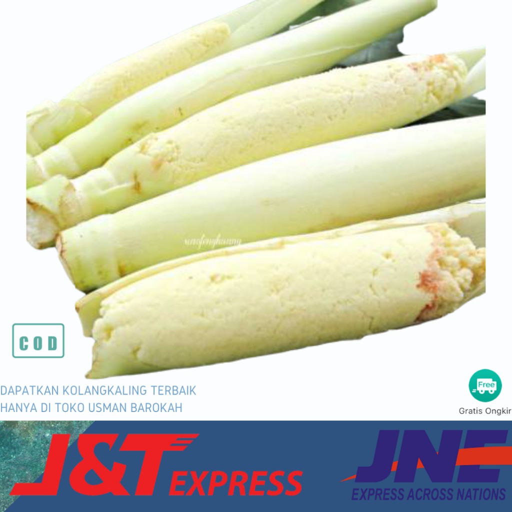 

MANBAR - Terubuk sayur sayur endog segar