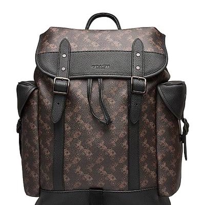 Coach Backpack hitch Horse and Carriage - Brown