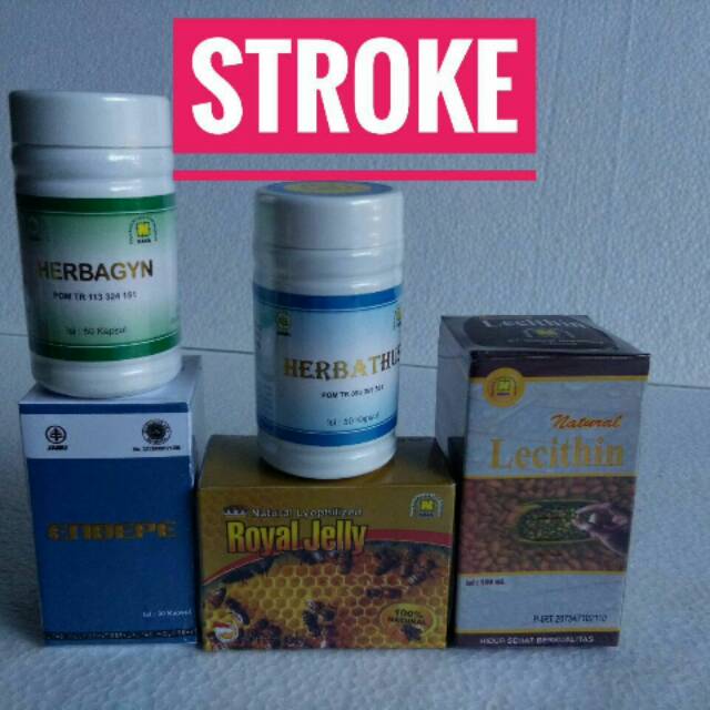 Paket Nasa Pengobatan Stroke