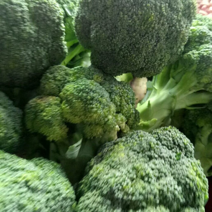 

Iooy3Y01 Sayur Brokoli Iit03Y1Tii