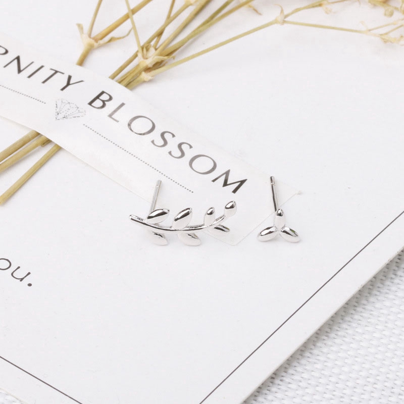 Exquisite Bright Anting Tusuk Asimetris Sterling Silver 925 Model Ranting Daun Zaitun Hypoallergenic Untuk Wanita
