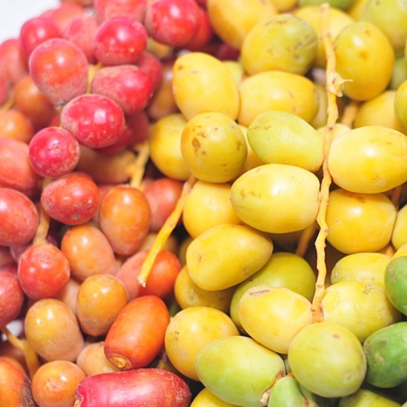 

(250g) KURMA MUDA KUNING / KURMA MUDA MERAH