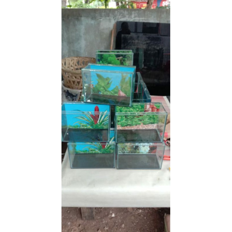 Aquarium 30x15x20 background