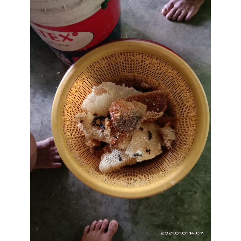 

MaduAsliHutanSumatra