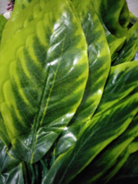 Wanflower Daun Mangga X5 * Hijau Lis Kuning (perlusin)