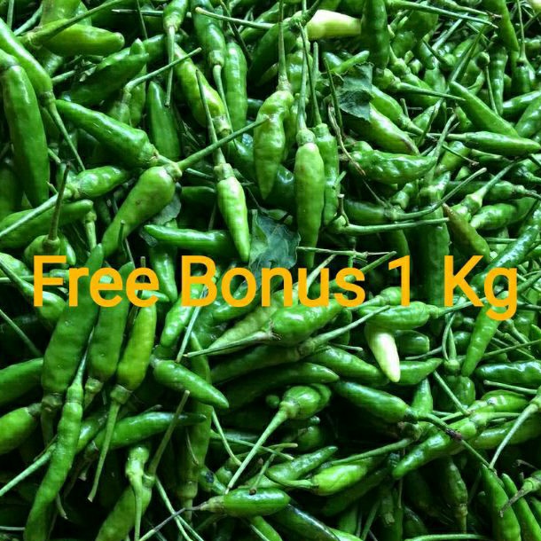 

Cabe Rawit Hijau 1kg + Gratis Bonus