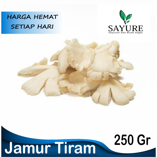

JAMUR TIRAM FRESH 250 GR