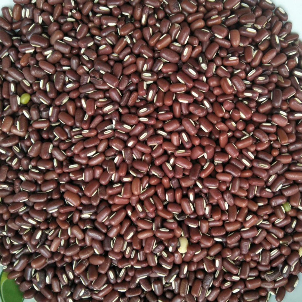 

Kacang Merah Mentah Import /Kacang Es/Tausa 500g