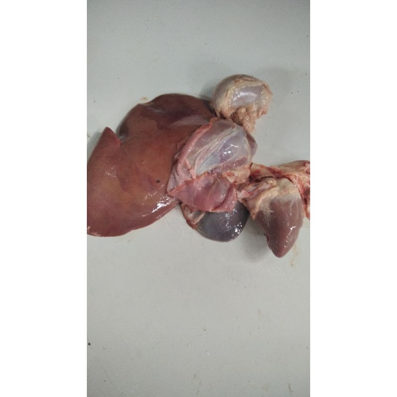 Ati Jantung  Limpa Kambing Jantan