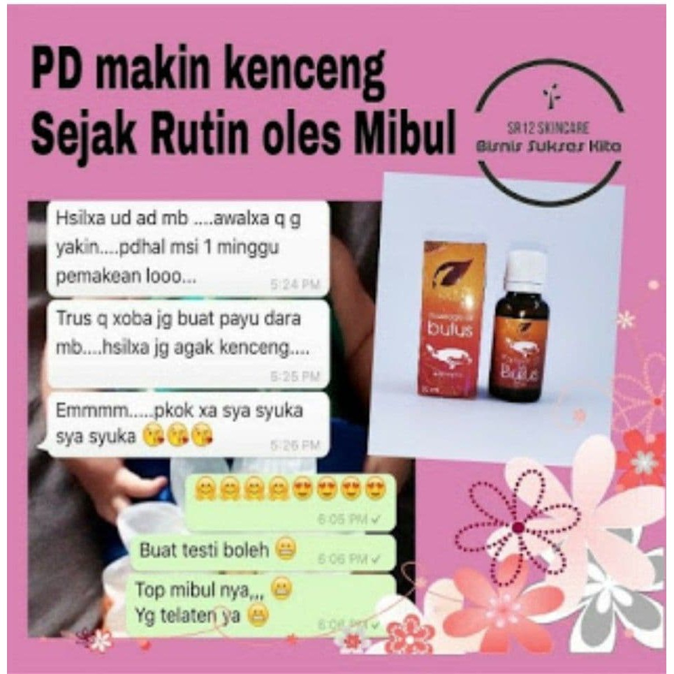 Massage Oil Bulus SR12 / Minyak Bulus SR12 / Minyak Bulus Original 100%