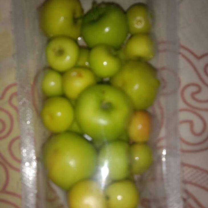 

97 buah bidara arab asli fresh langsung di petik isi 35 buah EK97 ー