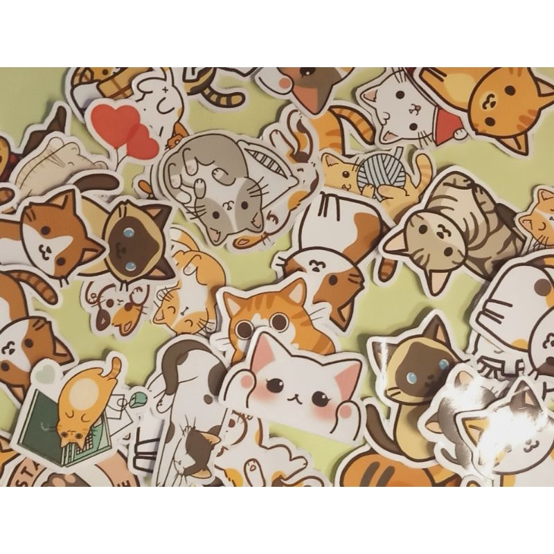 

stiker aesthetic cute cat (isi 12)
