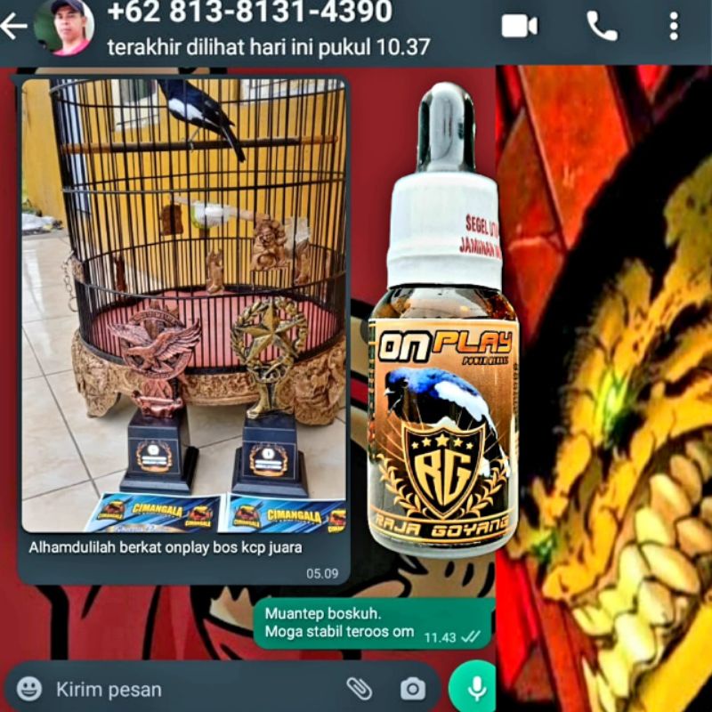 Kacer On Play RG Raja Goyang 100% Original Vitamin herbal Burung Kacer Gacor