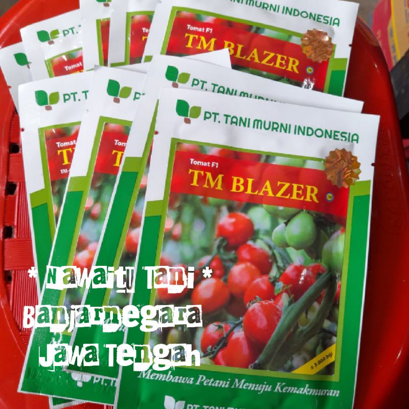Benih Tomat TM Blazer F1