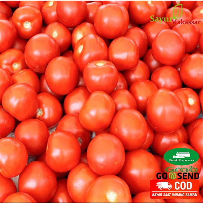 

Tomat / Tomato Buah Sayuran Segar Bumbu Dapur makassar