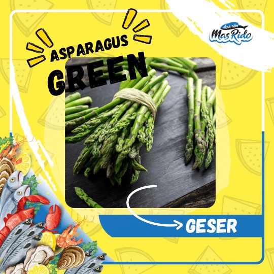 

Sayur Segar Asparagus Organik Fresh Kwalitas Super Terbaik Termurah