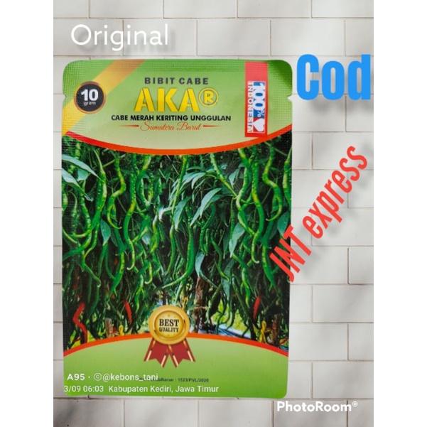 Benih CMK AkAR Tahan Virus Buah Lebat 10gram