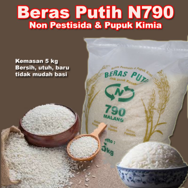 

Beras Putih Organik kemasan 5 kg l Beras Putih Non Pestisida l Beras Organik PUTIH l