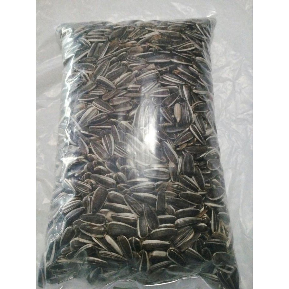 Kwaci Kuaci Hitam Untuk Lovebird